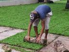 Grass Carpet Malaysian