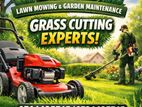 Grass Cutting Service