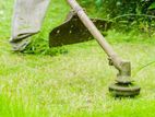 Grass Cutting