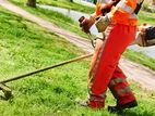 Grass Cutting