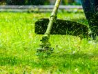 Grass Cutting