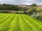 Grass Cutting