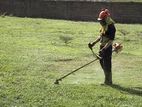 Grass Cutting Garden Service