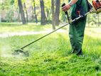 Grass Mowing Services