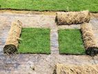 Grass Planting interlock paving