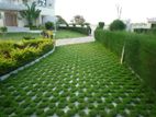 Grass with Interlock Garden Service