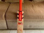 Gray Nicolls Cricket Bat