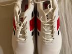 Gray Nicolls Cricket Shoe