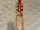 Gray-Nicolls Bat