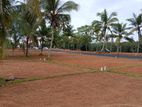 Great Community Land For Sale Near පන්නිපිටිය