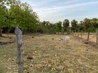 Land for Sale in Kantale