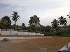 Great Location Land in Homagama - Pitipana