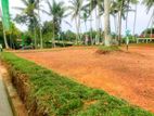 Green Environment Land For Sale In Panadura