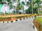 Green Environment Land For sale in Panadura