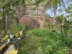 Green House 20 × 30 ft