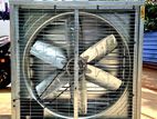 Green house Cooling Fan – 4 Feet