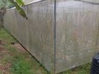 Green House For Sale