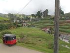Green land for sale Nuwara Eliya
