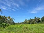 Green View Land Plots In Kottawa