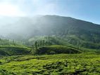 Green View Point Land for Sale Nuwara Eliya Road