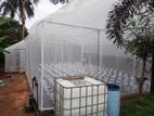 Greenhouse Construction Service