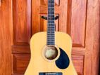 Greg Bennett Acoustic Guitar