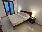 Grey Rug