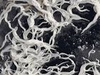 Grindel Worms