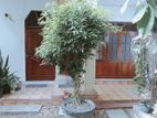 Ground Floor 3BR House for Rent in Dehiwala Kawdana
