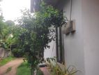 Ground Floor House For Rent In Boralesgamuwa Katuwawala