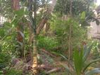 (GS-1071) Valuable Residential Bare Land Sale in Homagama