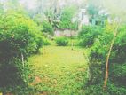 (GS-1178) Highly Valuable Residential Bare Land Sale in Kottawa
