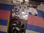 GTX 610 2GB VGA