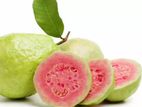 Guava