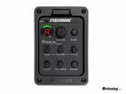 Guitar Eq -Fishman 301