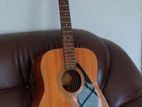 Guitar F310