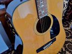 Guitar Fender Acoustic
