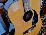 Guitar Fender Acoustic