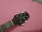 Guitar for Rent