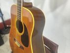 Acoustic Guitar