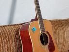 Morris Guitar