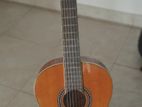 Guitar (used)