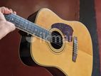 Ibanez PF60S Guitar