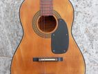 Guitar G-100
