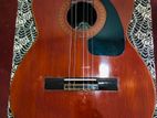 Guitars For Sale veyangoda