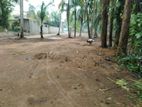 Habarakada Spacious Land Plot for Sale