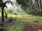 Habarana - 30 Perches Land for Sale (SSPL-394)