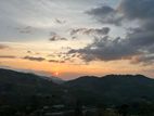 හැටන් වටවල අගනා බිම් කොටස්