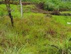 Haggala, Bordering to Haggala Gardens, 16 Perches of Land for Sale