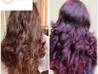 Hair Coloring Service